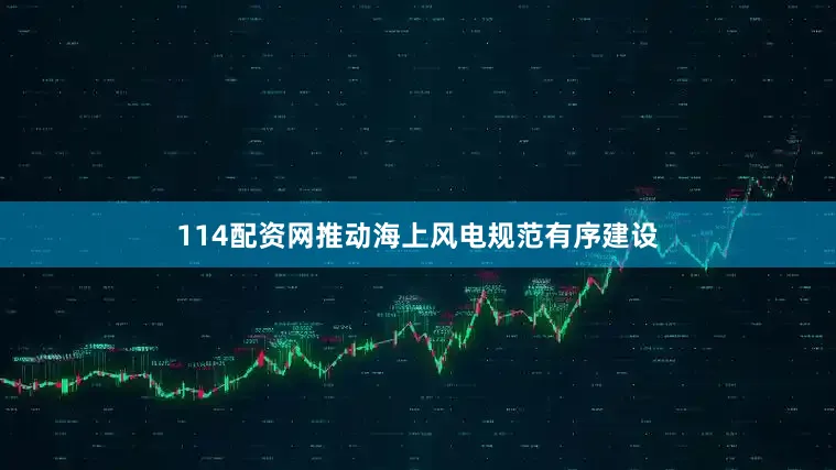 114配资网推动海上风电规范有序建设