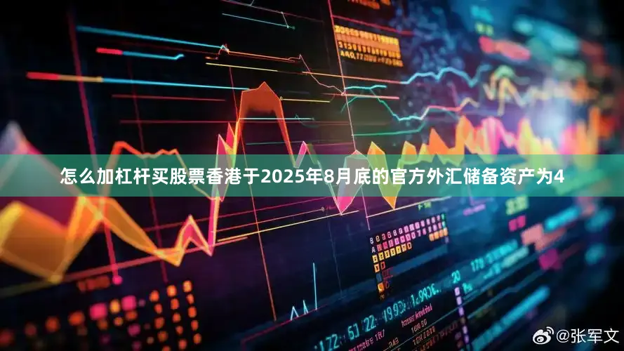 怎么加杠杆买股票香港于2025年8月底的官方外汇储备资产为4